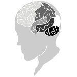 Smart_Human_ADHOC